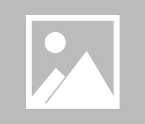 九游- scout李纳璨 